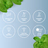 Essence of Elation: Purify with Eucalyptus & Peppermint for Cognitive Focus & Easy Breathing