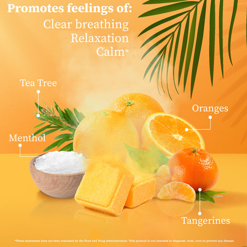 Citrus Bliss Essentials